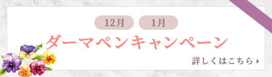 12月ダーマペンキャンペーン